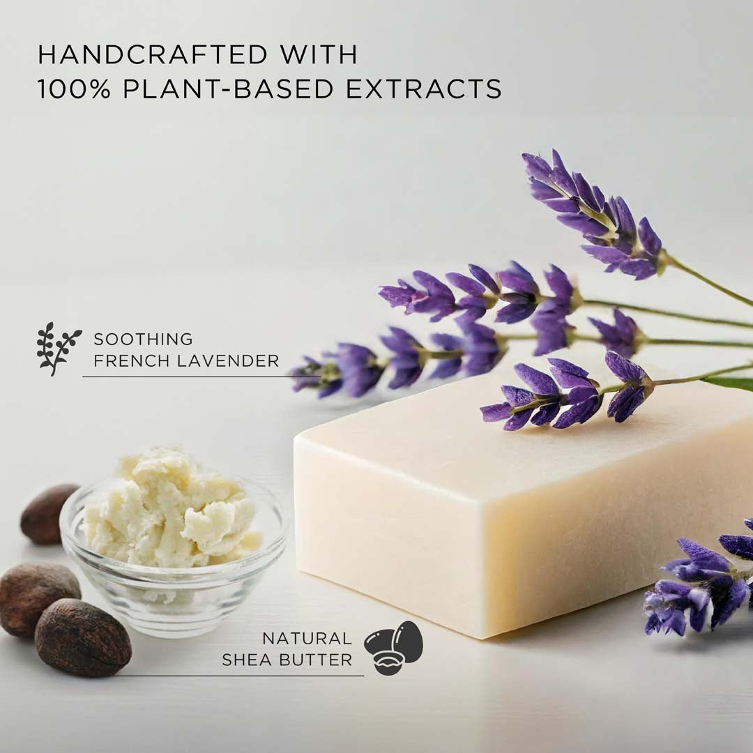 The French Note Lavender Shea Soap